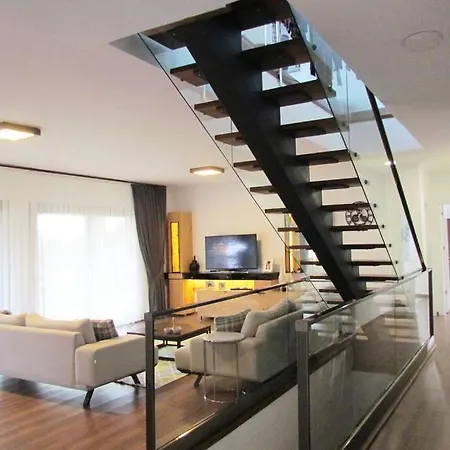 Dream Villa Gocheck 费特希耶
